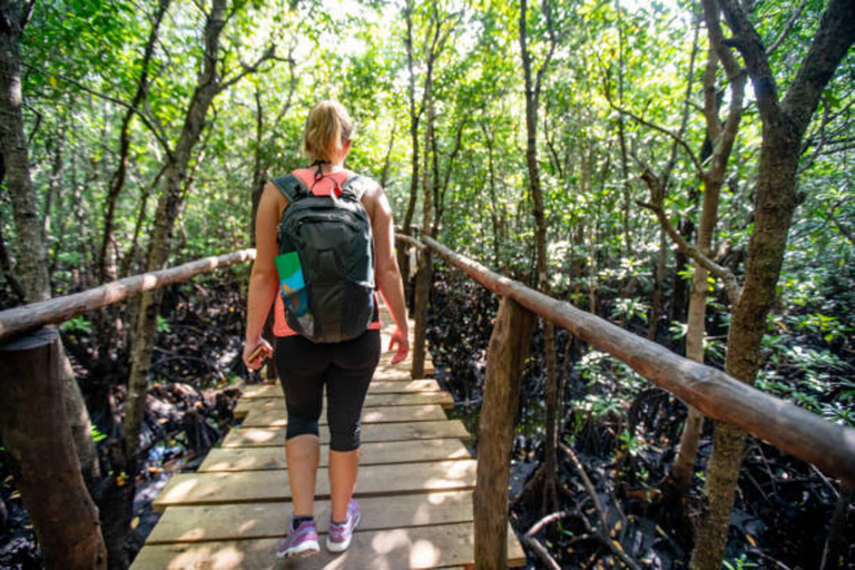 Zanzibar: Jozani forest, Butterfly & Tortoise sanctuary tour Tour with Hotel pickup & drop-off included