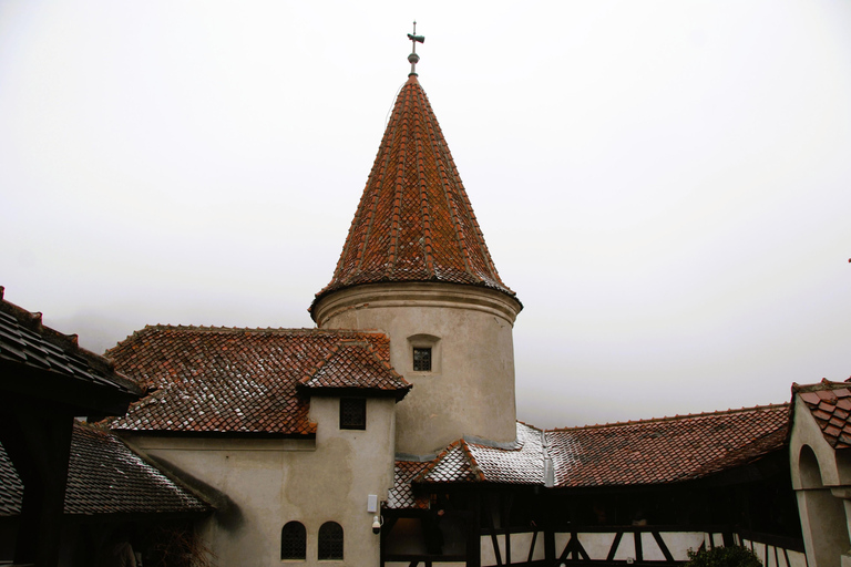 Brașov: Visit a Transylvanian Village Home near Bran Castle From Brașov to a Traditional Village Home in the Bran Area