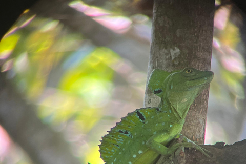 Cahuita National Park+Bribri Chocolate Tour+Waterfalls Tour+Lunch