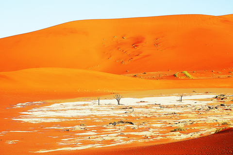 10 Days Taste of Namibia | Auto Tour Camping