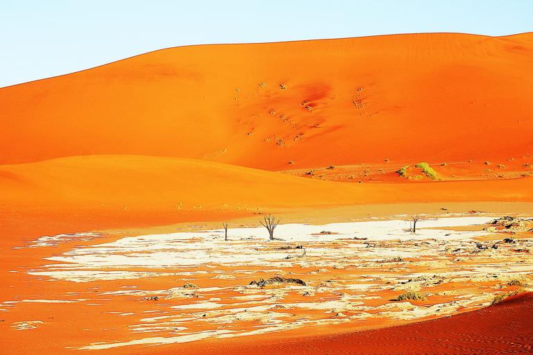 10 Days Taste of Namibia | Auto Tour Camping