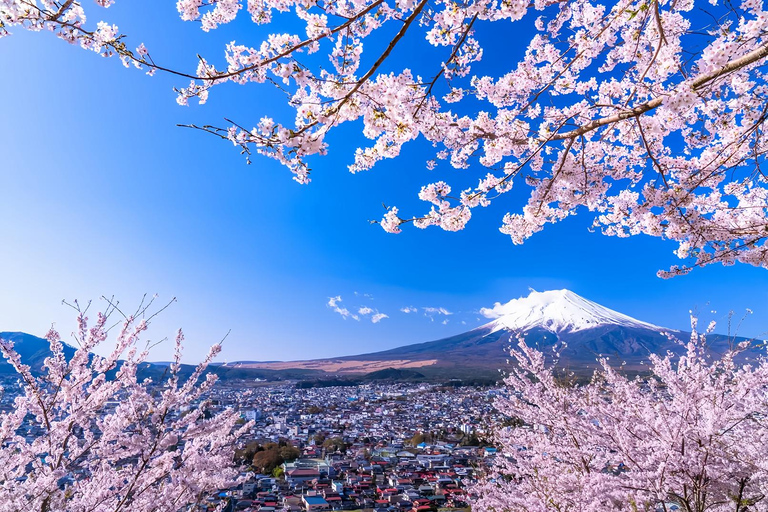 Mount Fuji Day Tour: Instagrammable Spots + Scenic Train From Tokyo (Including ropeway and cruise)