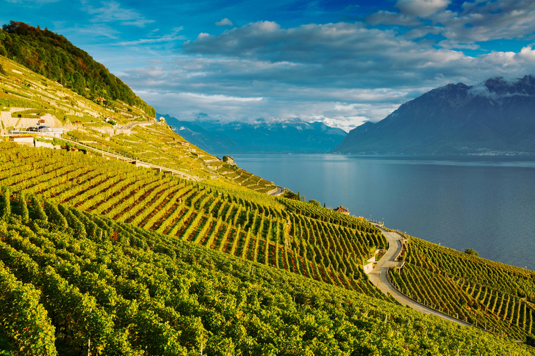Lavaux Wine and Vineyard Experience with Boat Cruise