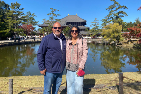 From Kyoto/ Osaka: Nara Day Tour with Guide & Vehicle Regular Car (Up to 2 PAX)