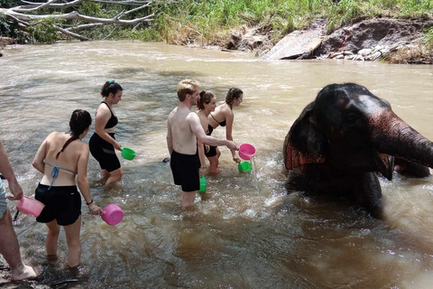 Chiang Mai: 2-dagars djungelvandring med elefantfarm och forsränning