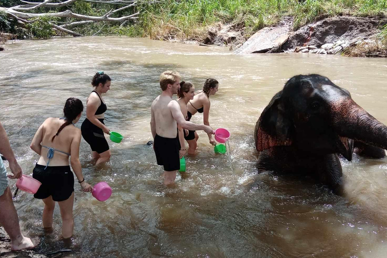 Chiang Mai: jungletocht, olifanten en verblijf in een bergstamdorpChiang Mai: tweedaagse jungletocht met verblijf in de bergstam