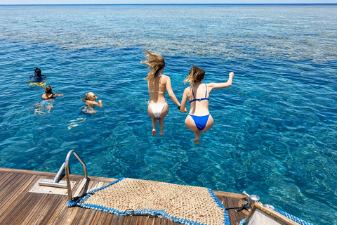 Marsa Alam: Samadai Dolphin House Snorkeling or Diving Marsa Alam: Samadai Dolphin House Snorkeling