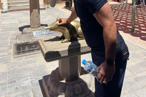 Private Gyeongju UNESCO Tour with Ryan - Starts in Gyeongju From Gyeongju: Private UNESCO Highlights with a Local Guide