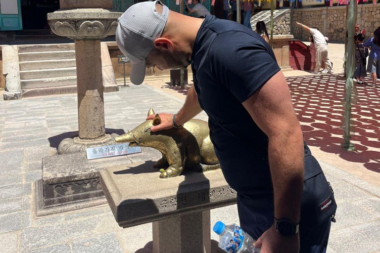 Private Gyeongju UNESCO Tour with Ryan - Starts in Gyeongju From Gyeongju: Private UNESCO Highlights with a Local Guide