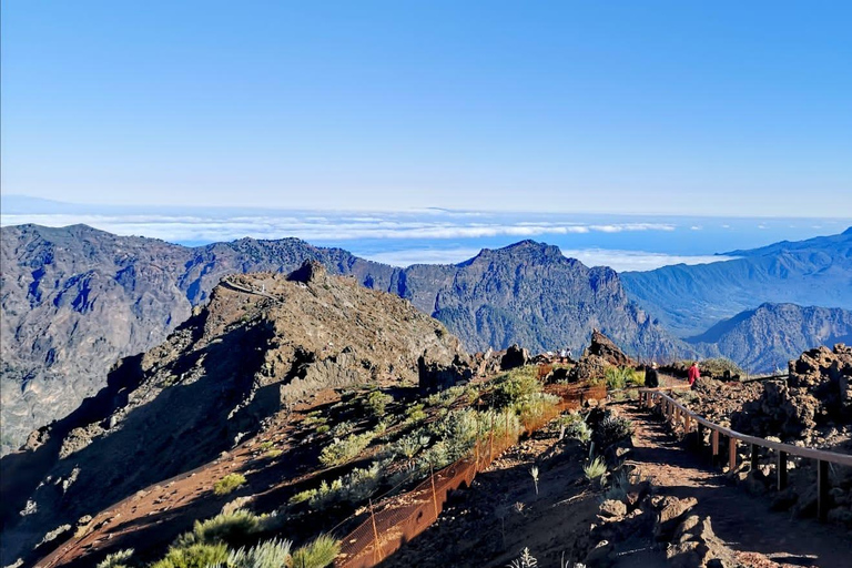 La Palma: Let's go to Roque Observatory & Visitor Centre Pick up in S/C de La Palma (line 3-north)