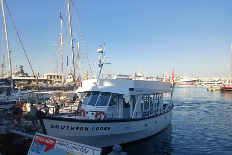 Cape Town: Hermanus whale watching, stony penguin and wine