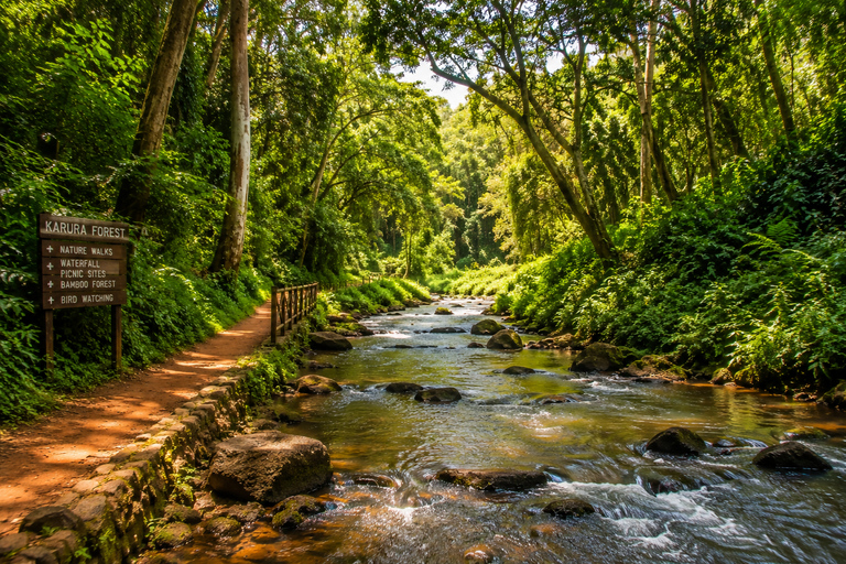 Nairobi: Karura Forest Day Trip with Guide and Entry Fees