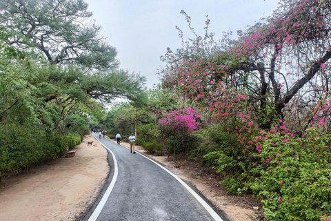 Delhi: Northern Ridge Walk with Tibetan Colony Tour