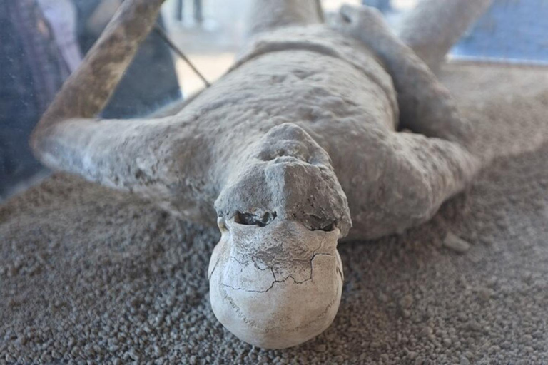 Desde Nápoles: Excursión de un día a Pompeya y Sorrento con almuerzoComida no incluida