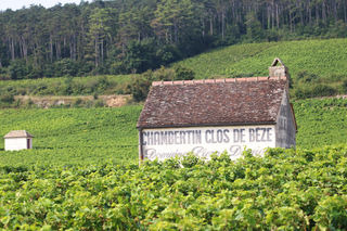 "Route des grands crus, dégustation privée en Bourgogne !