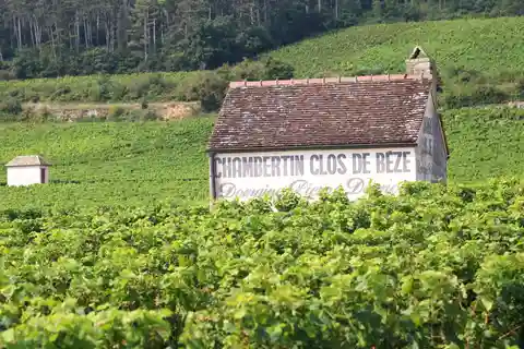 "Route des grands crus", privé wijnproeven in Bourgondië!