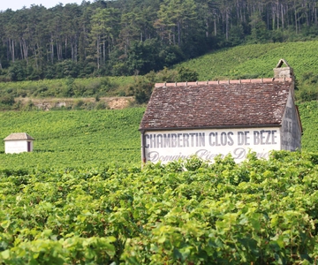 "Route des grands crus", private Weinverkostung in Burgund!