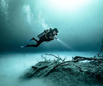 Tulum : Bucea en 2 cenotes incluyendo uno profundo Pit Dos Ojos