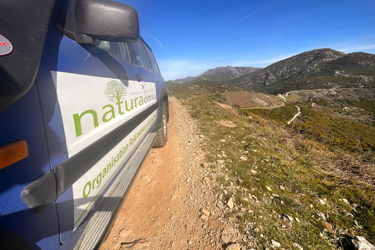 Calvi: Asco Valley 4x4 Day Tour with Guide