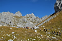 Durmitor – Bobotov Kuk Hiking Private Tour - Housity