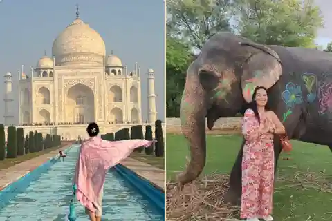 From Delhi: Taj Mahal & Agra Tour & Elephant SOS & 5*Lunch