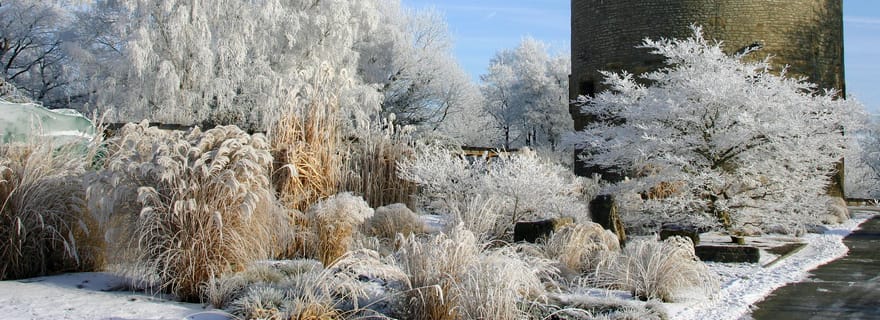 Erfurt : entrée journalière à l'egapark en saison hivernale
