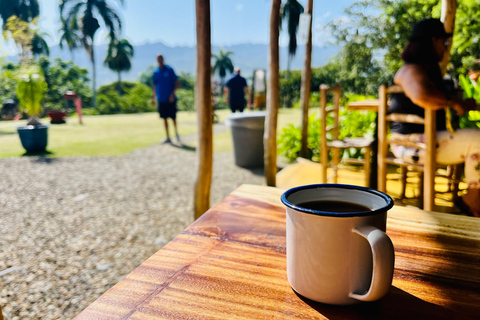 Country Coffee Farm Tour with Tasting and Lunch