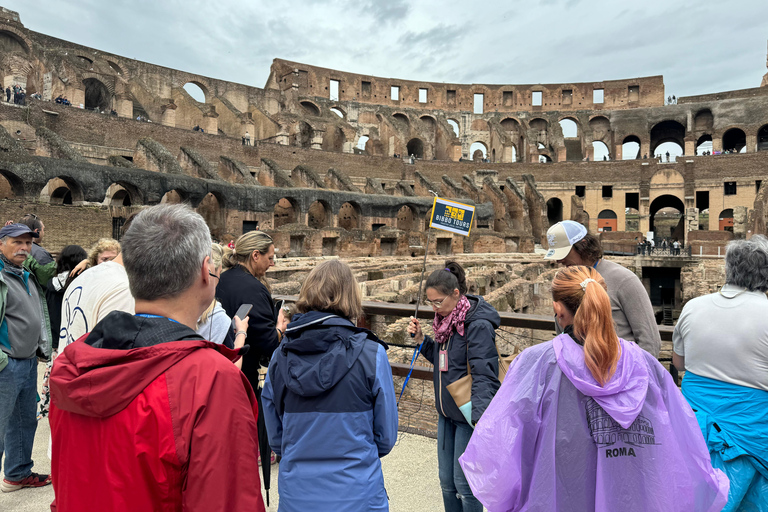 Roma: Visita a la Arena del Coliseo, el Foro Romano y el Palatino