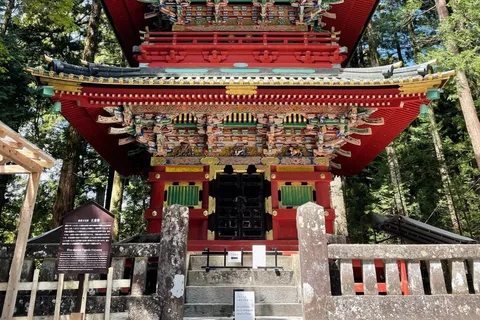 Tour privato da Tokyo a Nikko