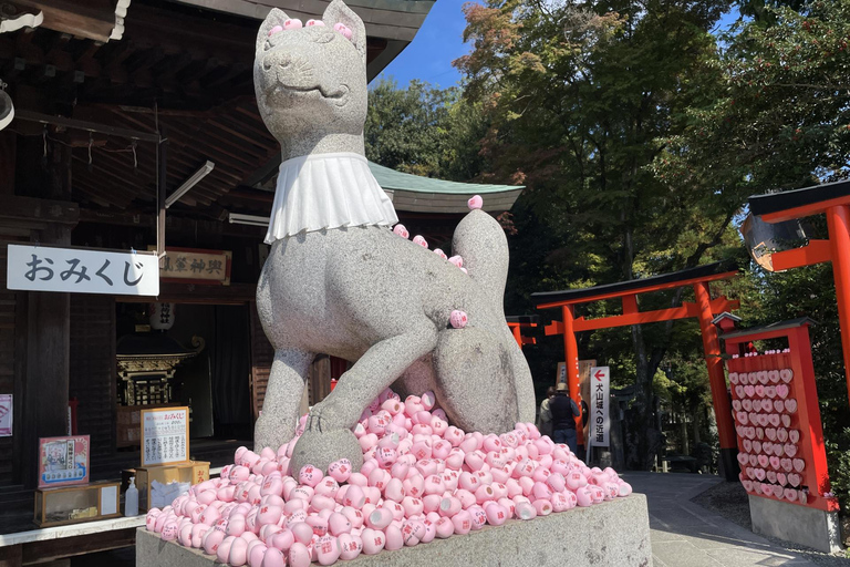 From Nagoya: Inuyama Day Trip