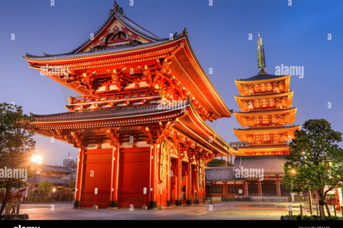 Tokyo: Tokyo Full Day Private Customizable Sightseeing Tour Tokyo Full day Private Tour