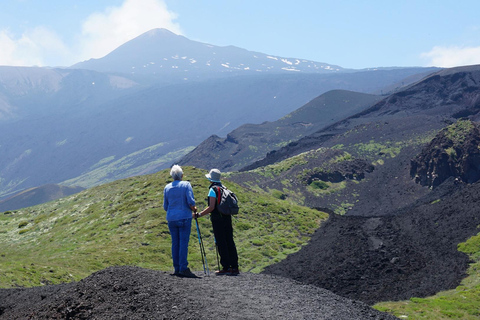 Catania: Mount Etna Morning Tour with Tasting and Lava Cave EGT-Morning