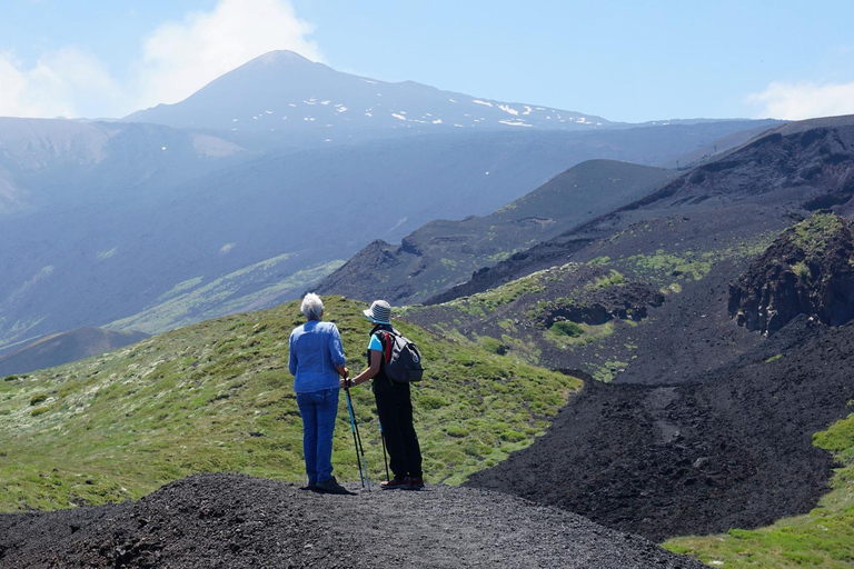 Catania: Mount Etna Morning Tour with Tasting and Lava Cave EGT-Morning