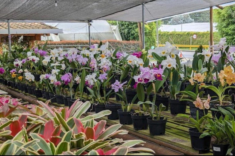 Medellin: Eastern Adventure, Magical Villages, Orchids, and Landscapes