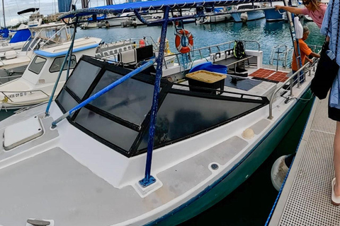 Waikiki: AM Paradise Honu SnorkelingWaikiki: AM Paradise Honu Snorkelen