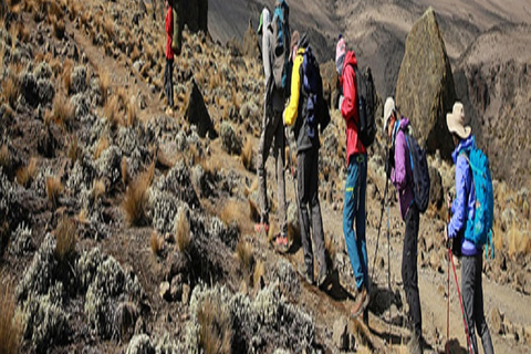 KILIMANJARO CLIMBING TOUR: 8-DAY MARANGU HIKE EXPERIENCE