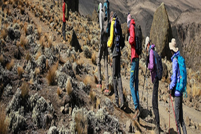 KILIMANJARO CLIMBING TOUR: 8-DAY MARANGU HIKE EXPERIENCE