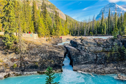 Louise, Moraine, Emerald, Peyto: tour dei 4 laghiTour dei 4 laghi: Louise, Moraine, Emerald, Peyto