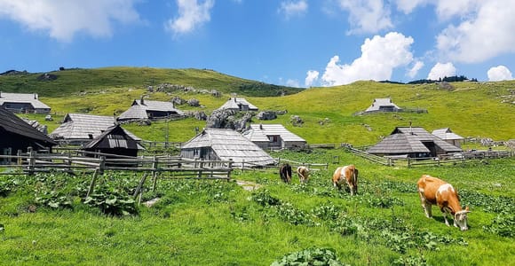 From Ljubljana: Velika Planina Guided Hike
