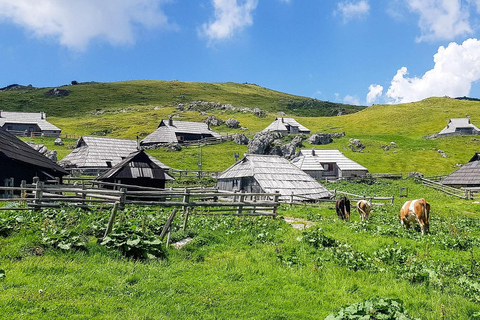 From Ljubljana: Velika Planina Guided Hike