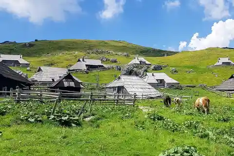 A partir de Liubliana: Caminhada guiada em Velika Planina