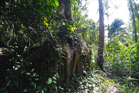 Phnom Penh: A Day Trip CHONLOS WATERFALL Hiking Adventure