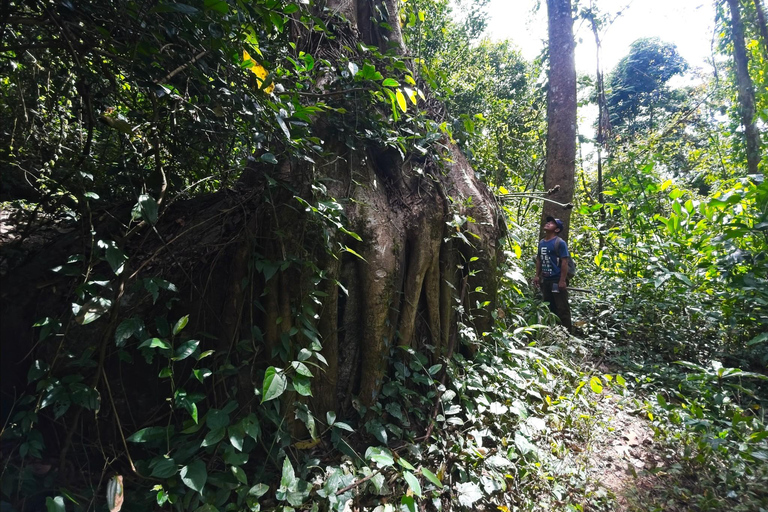 Phnom Penh: A Day Trip CHONLOS WATERFALL Hiking Adventure