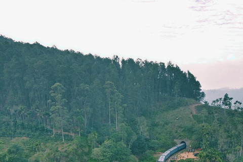 Vollbeladenes Sri Lanka | GRATIS Ausflug nach Sigiriya und Dambulla