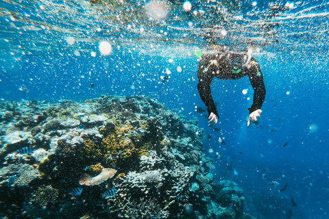 Azores: São Miguel Hike and snorkeling