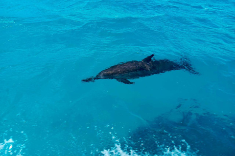 Blue Lagoon and Pele Island Day Trip