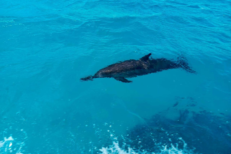 Blue Lagoon and Pele Island Day Trip