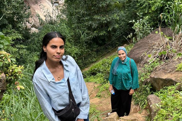 CMB/Negombo: Sigiriya, Kandy & Ella Private Tour with Driver Private Van with Driver – Up to 50 km
