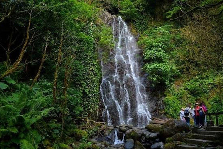From Batumi: Best of Adjara –Waterfalls, History & Coastline