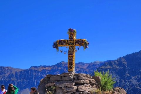 Von Arequipa: 2-Tages-Tour Colca Canyon mit Transfer nach Puno